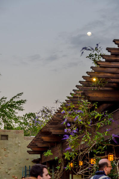 DSC0404-L.jpg