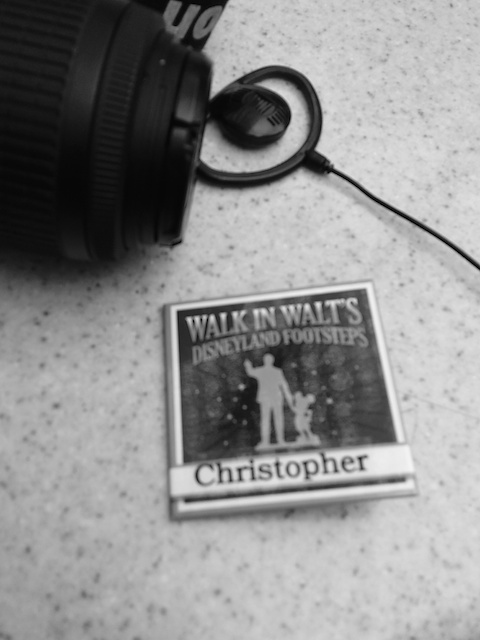 day-6-26.jpg