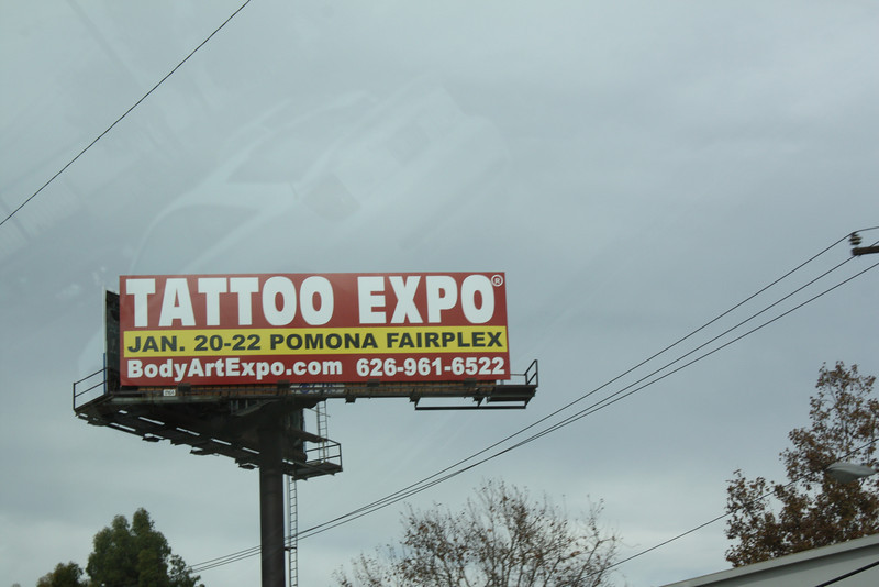 IMG0805-L.jpg