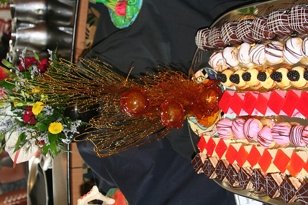 p464812323-4.jpg
