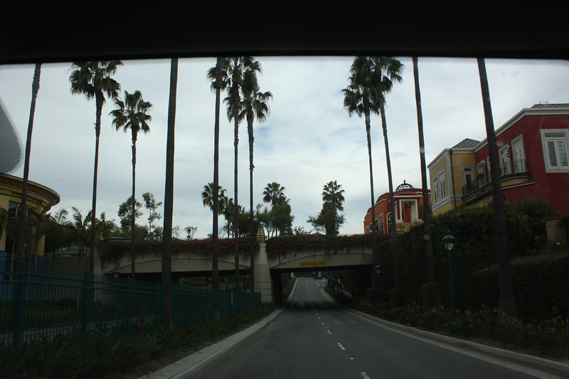IMG0786-L.jpg