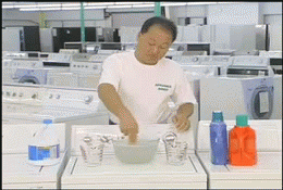 giphy.gif