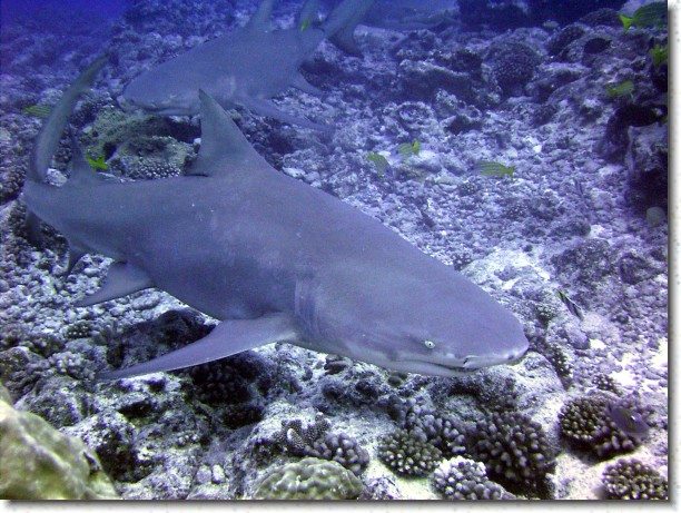 R0010593_edited.JPG