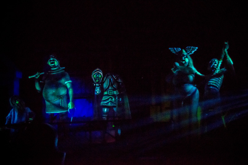 DSC_2536-L.jpg