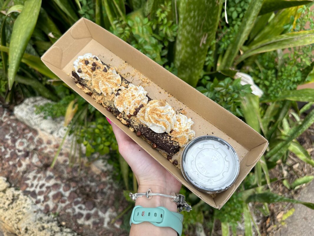 S'mores churro and marshmallow dip