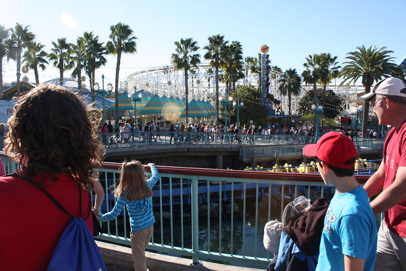 IMG9815-L.jpg