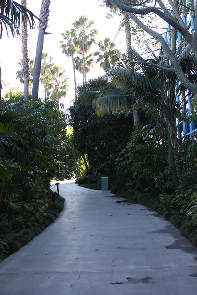 IMG9427-L.jpg