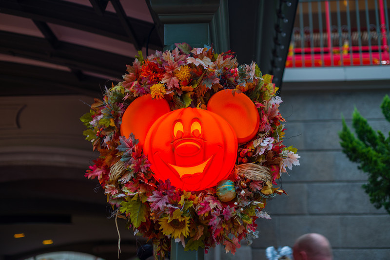 DSC_1480-L.jpg