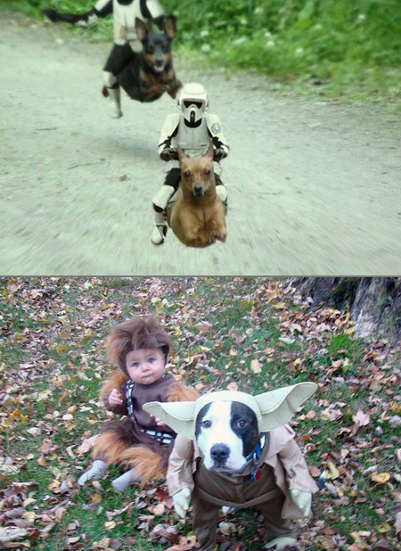star_wars_dogs.jpg