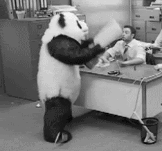 tumblr_lpml0v4eBb1qd3ljf.gif