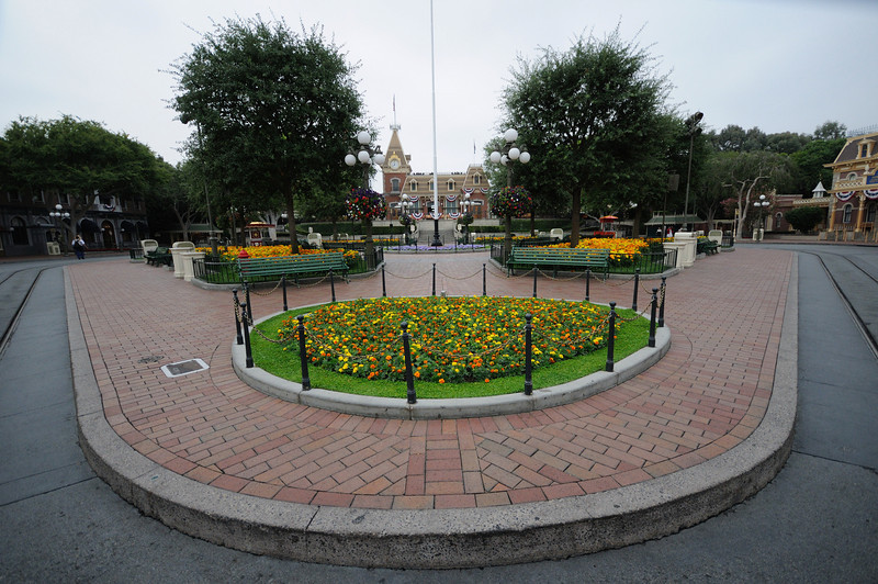 354250892_nDdg2-L.jpg