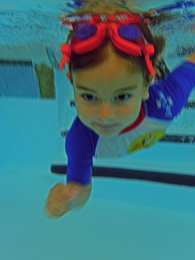 sully%20swim.jpg