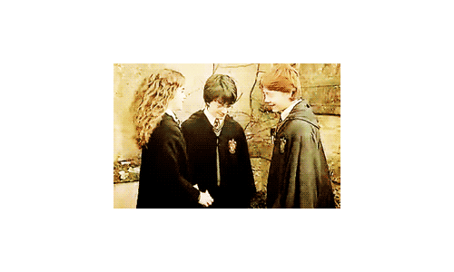 tumblr_lcd6phvQrm1qc8afao1_500.gif