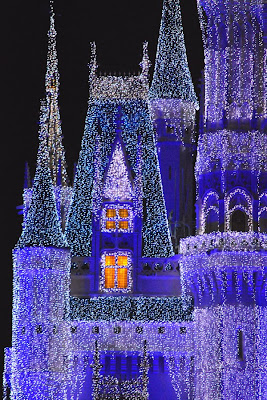DSC_0766.jpg