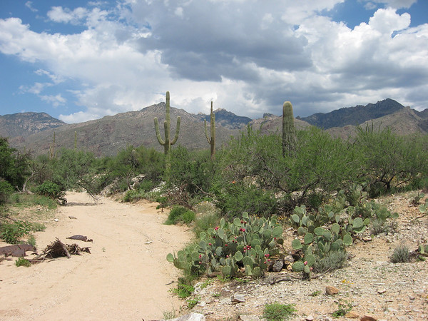IMG0791-M.jpg
