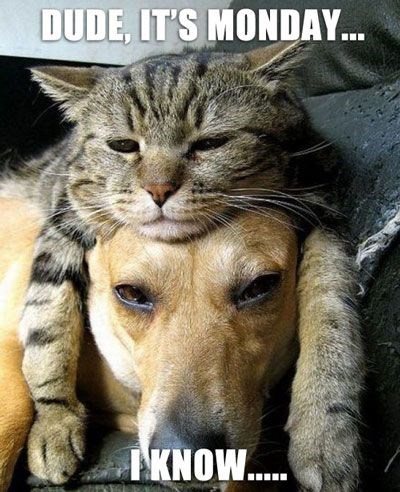 dude-its-monday.jpg