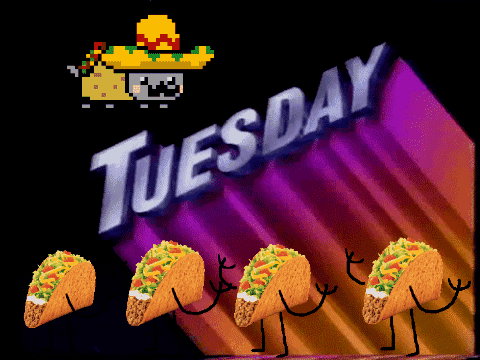 Image result for tuesday gif