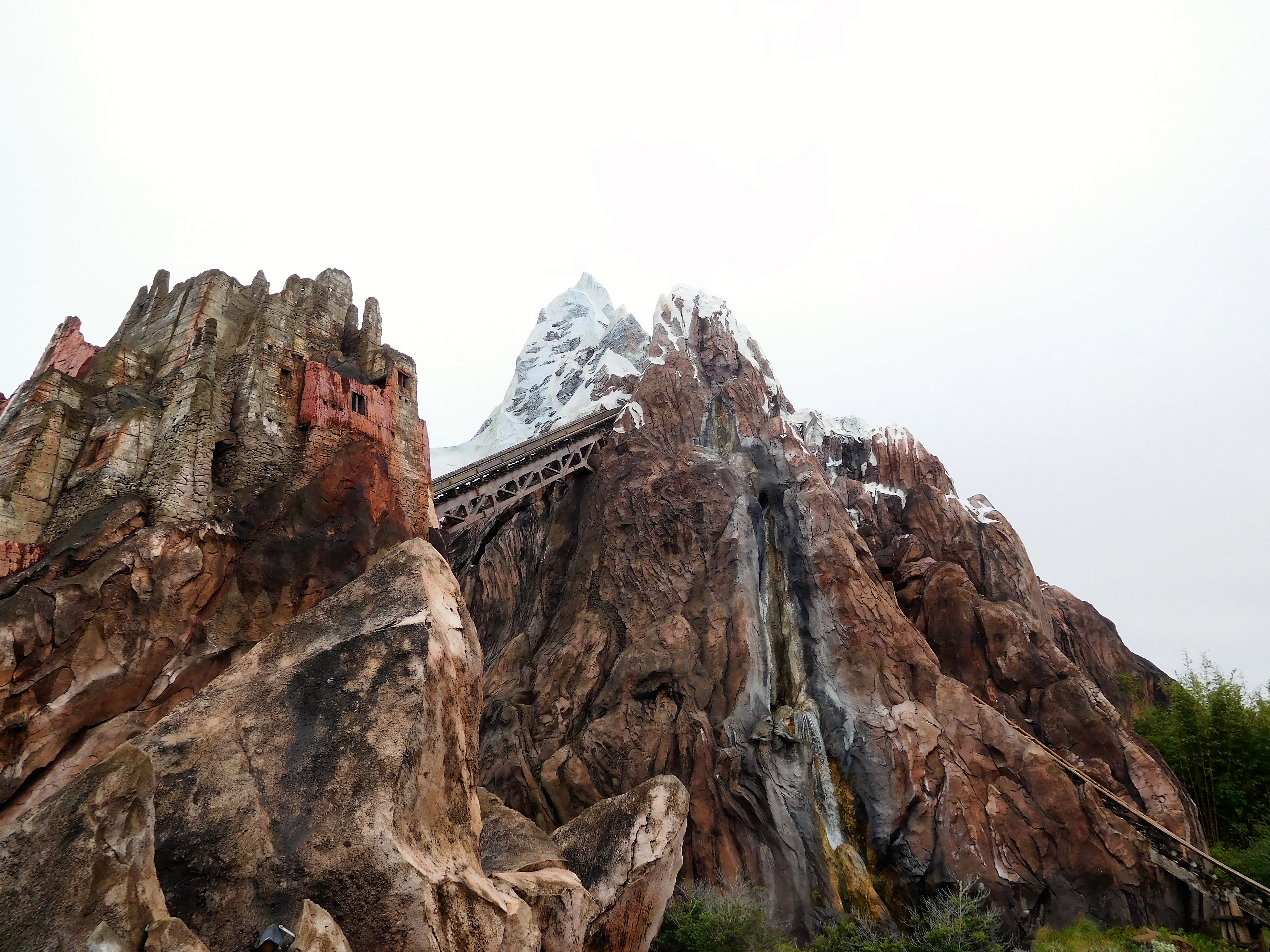 DSCN4357.jpg