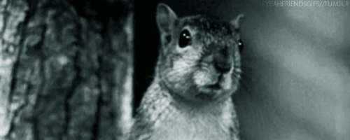 tumblr_m64z232kXn1qh17feo2_500.gif