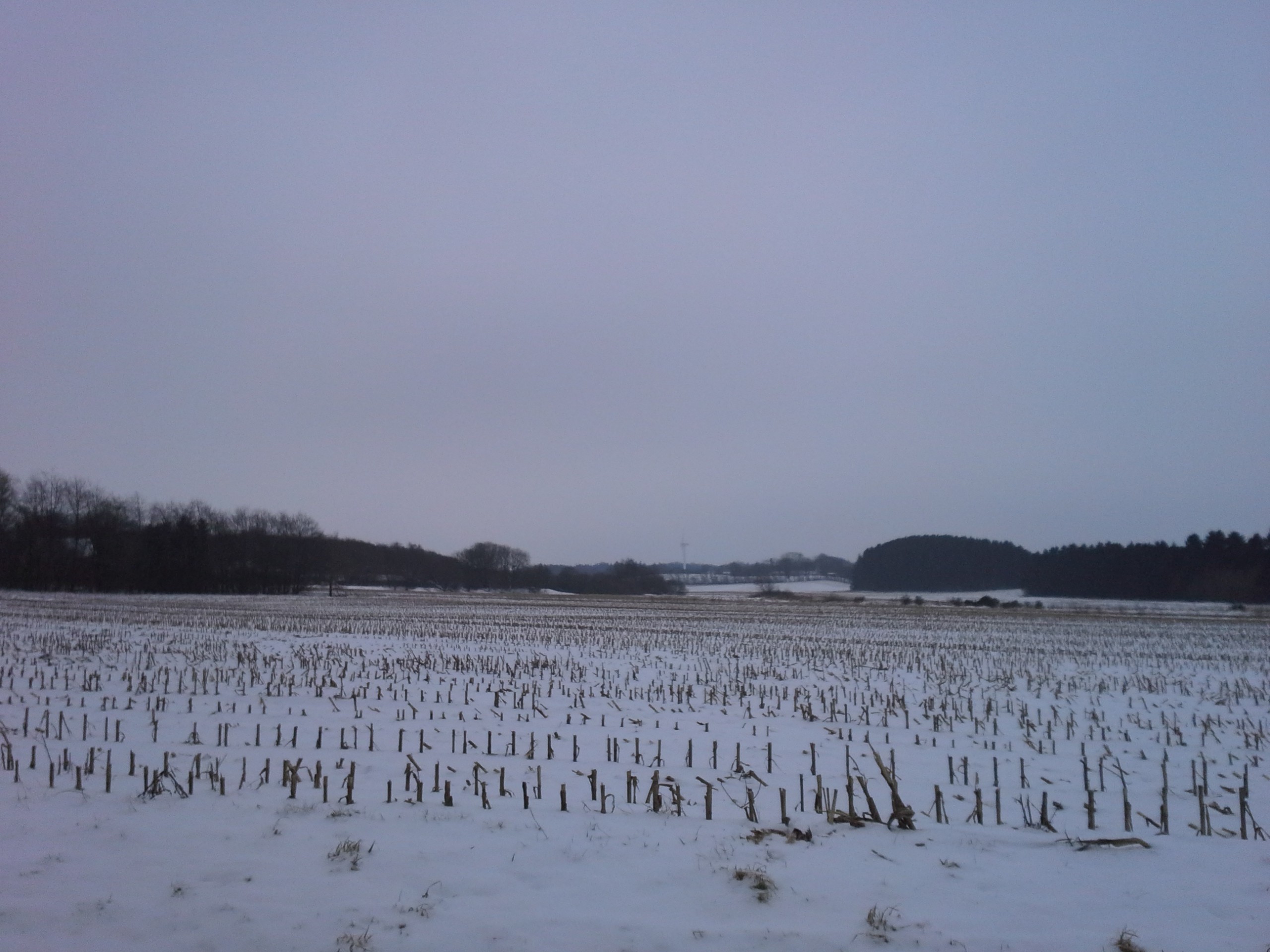 20170210-142345.jpg
