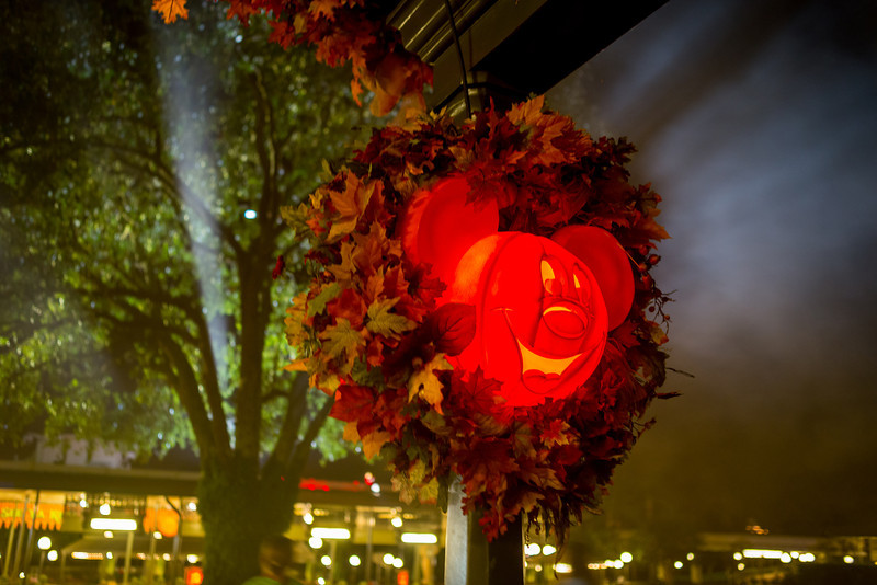 DSC_1269-L.jpg
