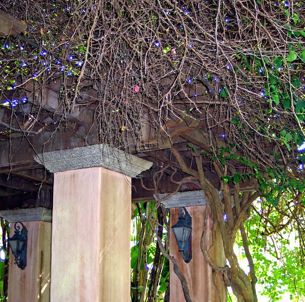 1245827820_NzRog-L.jpg