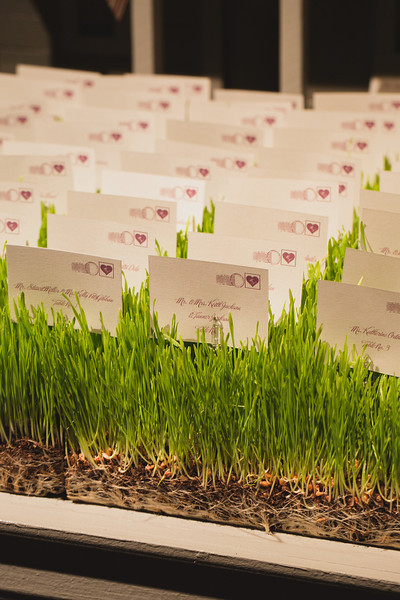 missyfranklin_wedding_258-L.jpg
