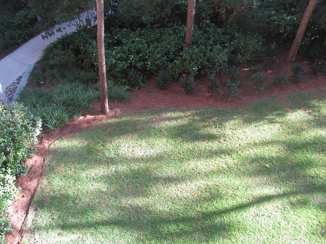 6593984809_4160e05750_z.jpg