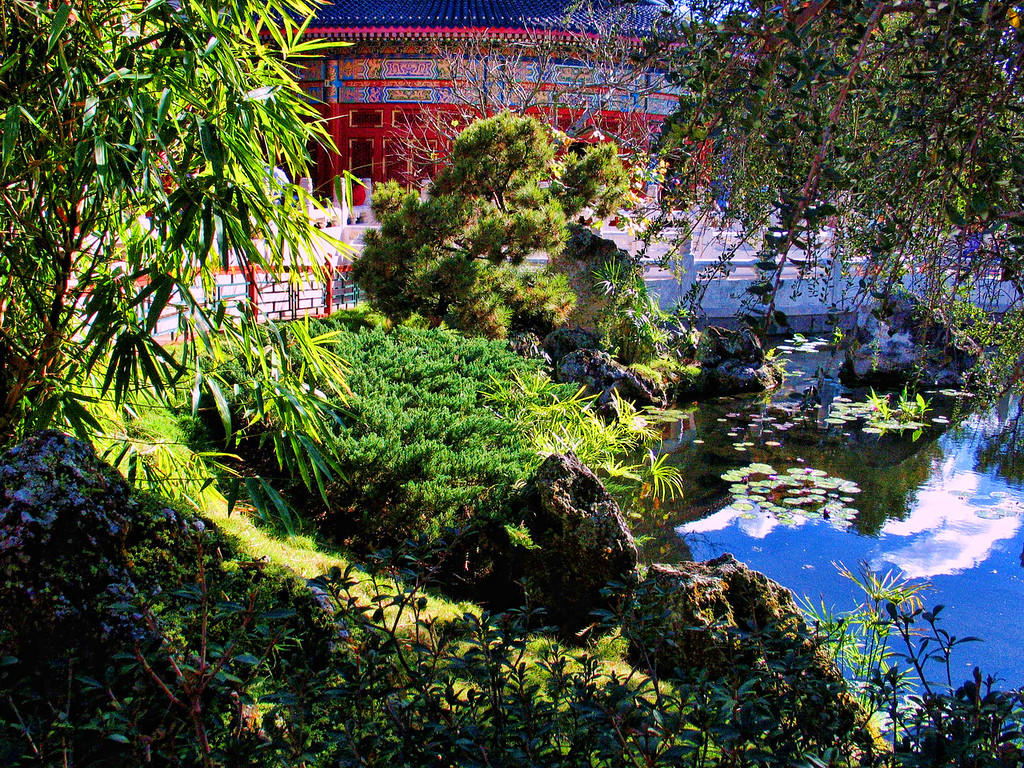 China_9151ped-XL.jpg