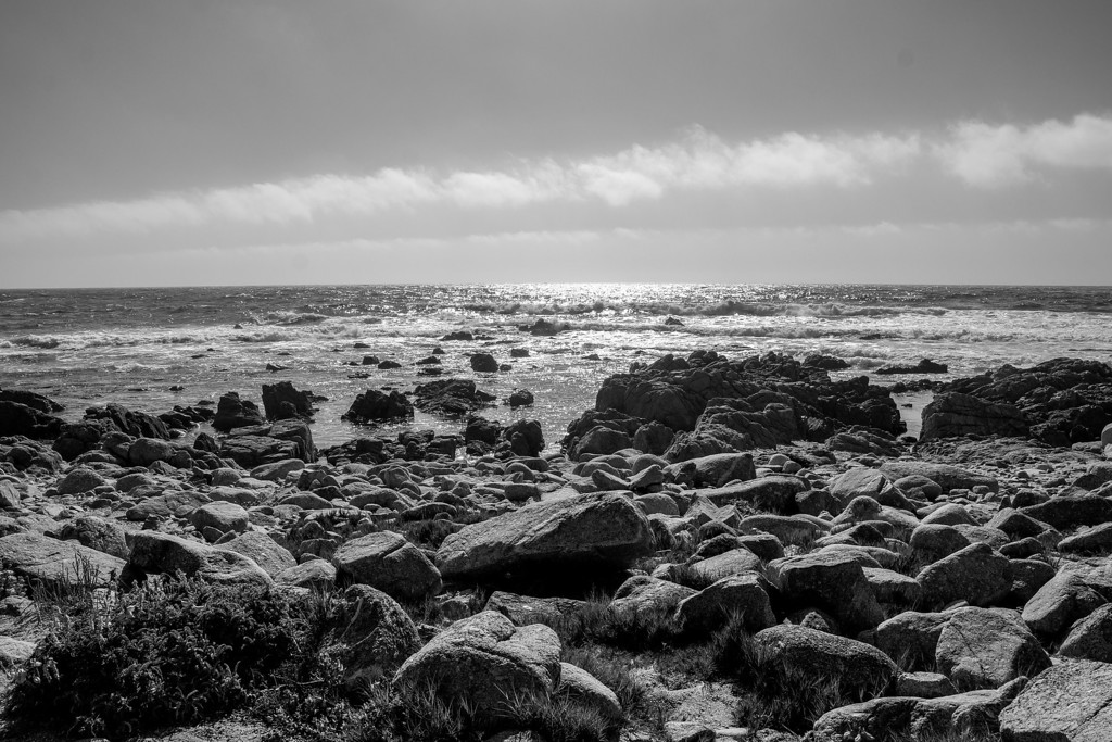 _DSC3785-XL.jpg