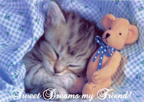 SWEET_DREAMS.jpg