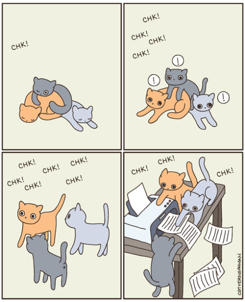 tumblr_licb7o5vgc1qcsvvro1_500.jpg