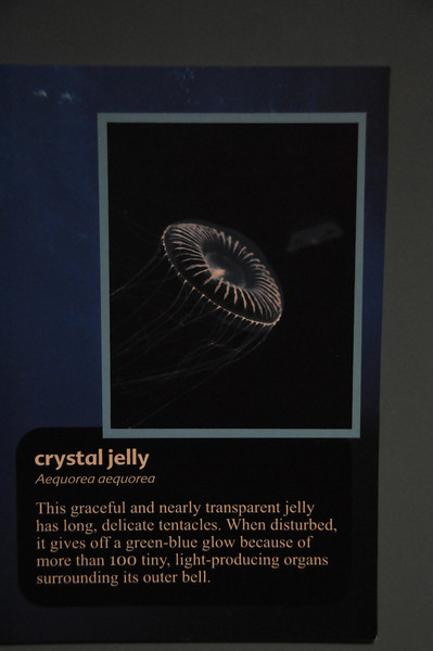 600373987_gcCc6-L.jpg
