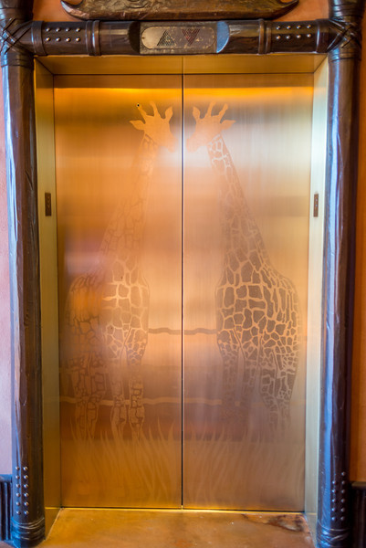 DSC_7854-L.jpg