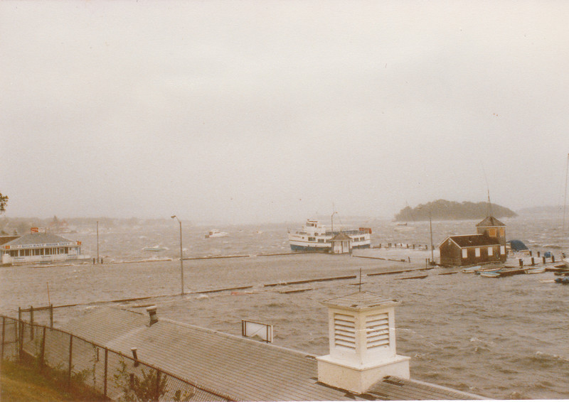 370624049_aFSLH-L.jpg