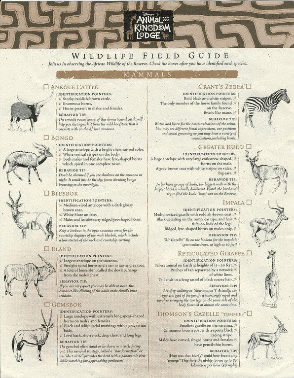 .Wildlife%20Guide%20page1-XL.jpg
