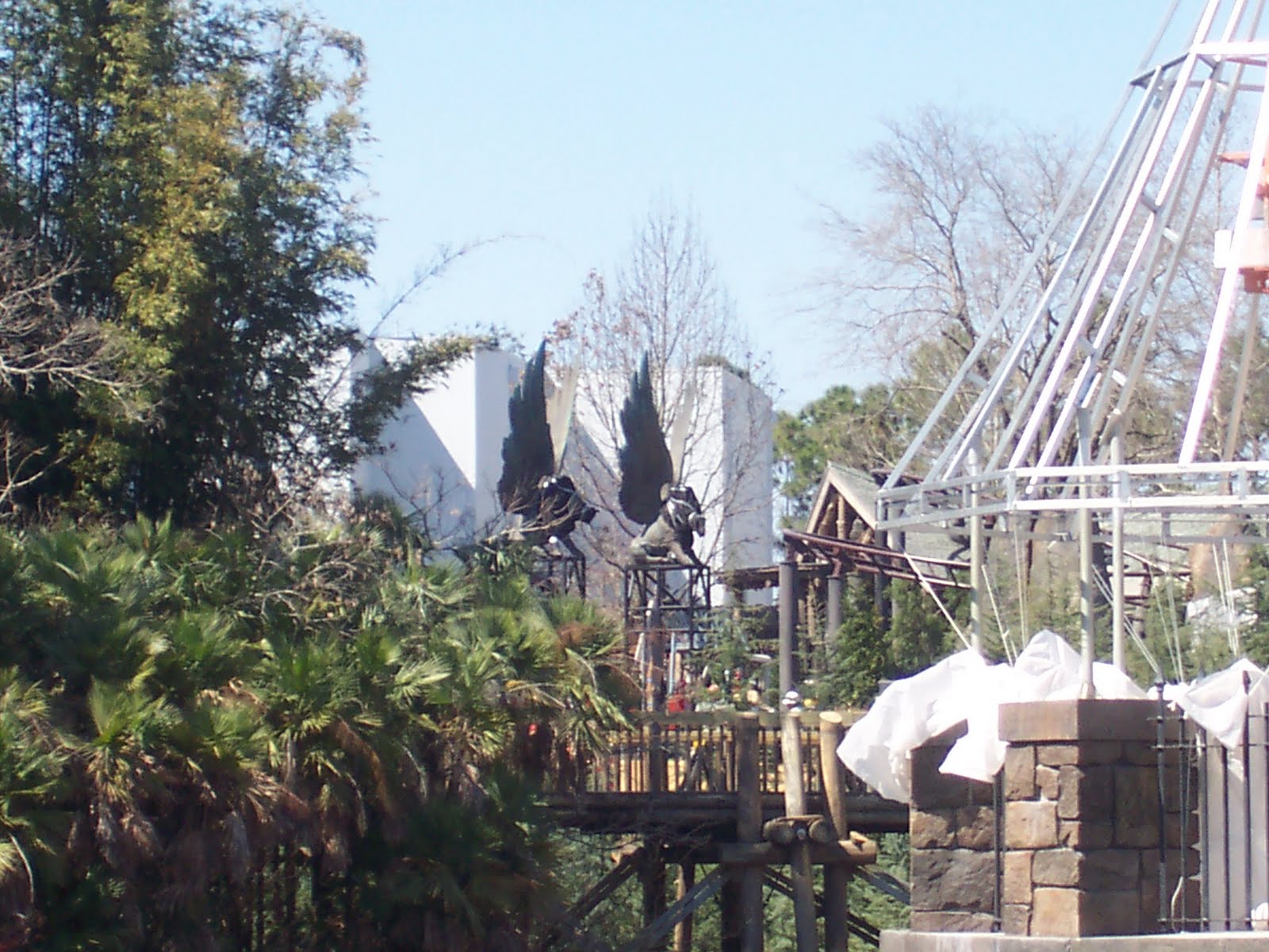 100_8749.JPG