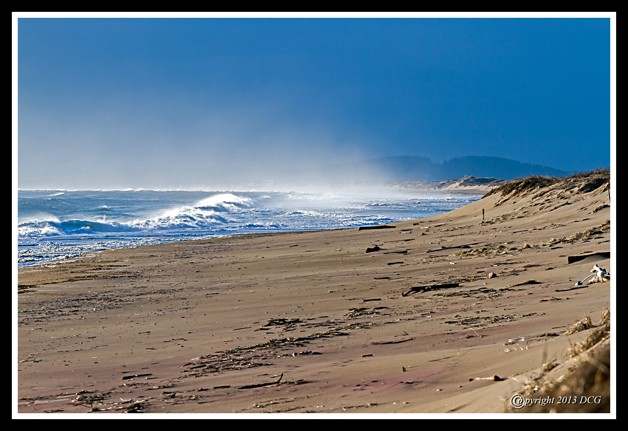 Beach-02-22-04cr%20-X2.jpg
