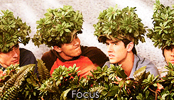 tumblr_lpqdz3DAiV1qf7phso1_r2_250.gif