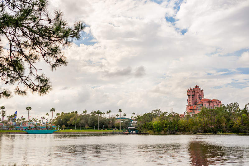 DSC_6412-L.jpg