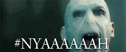 tumblr_loeoxp1MAc1qbvoc6o2_250.gif
