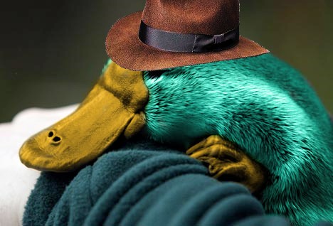 Perry_the_Platypus,_by_optical-jackson.jpg