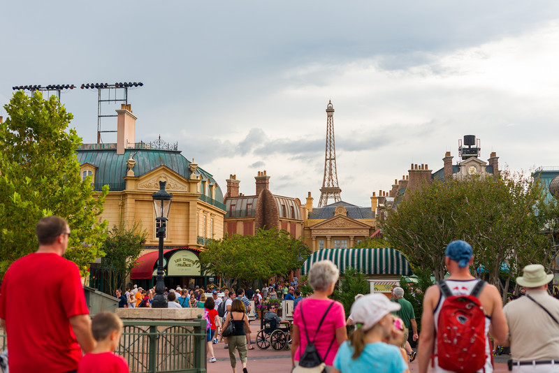 DSC_0418-L.jpg