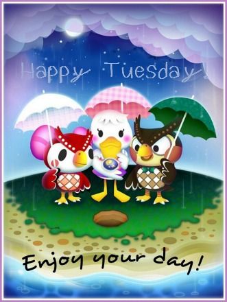 165589-Happy-Rainy-Tuesday.jpg