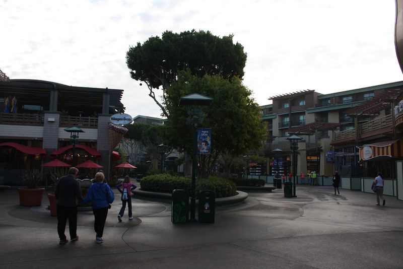 IMG9107-L.jpg