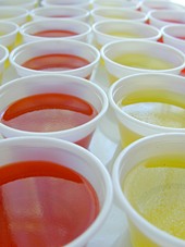 jello.shots.jpg