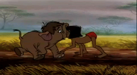 tumblr_lbbrt9O75h1qa1xnko1_500.gif