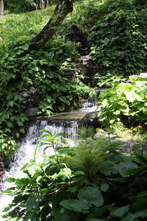 643614484_jdVu9-M.jpg