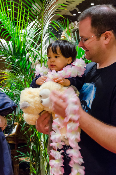 DSC2912-L.jpg