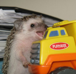 tumblr_m0sgstgtKr1r4g7lz.jpg